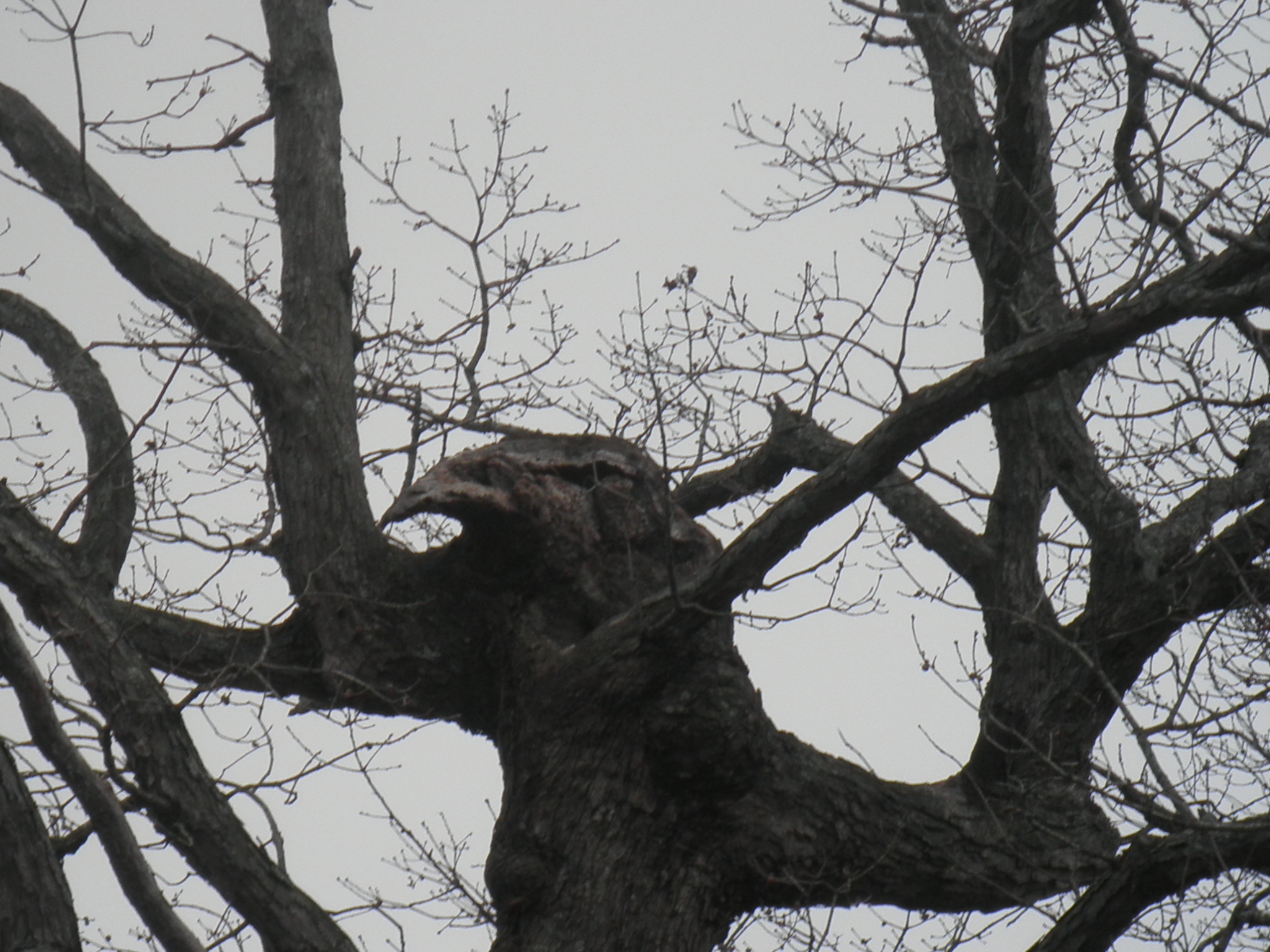 Our 29th Wedding Anniversary Longbow Resort, Prim, Arkansas