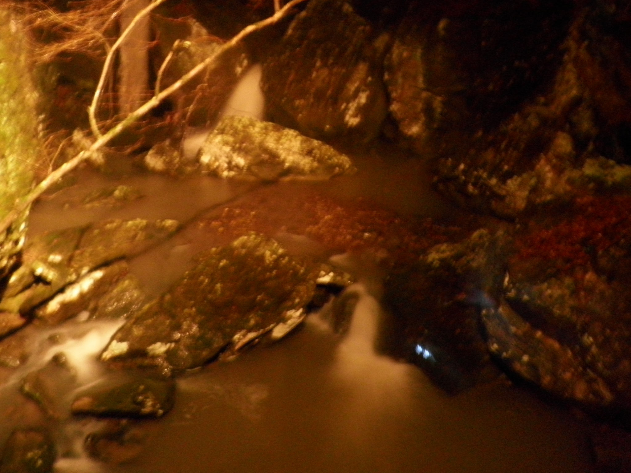 Our 29th Wedding Anniversary Longbow Resort, Prim, Arkansas