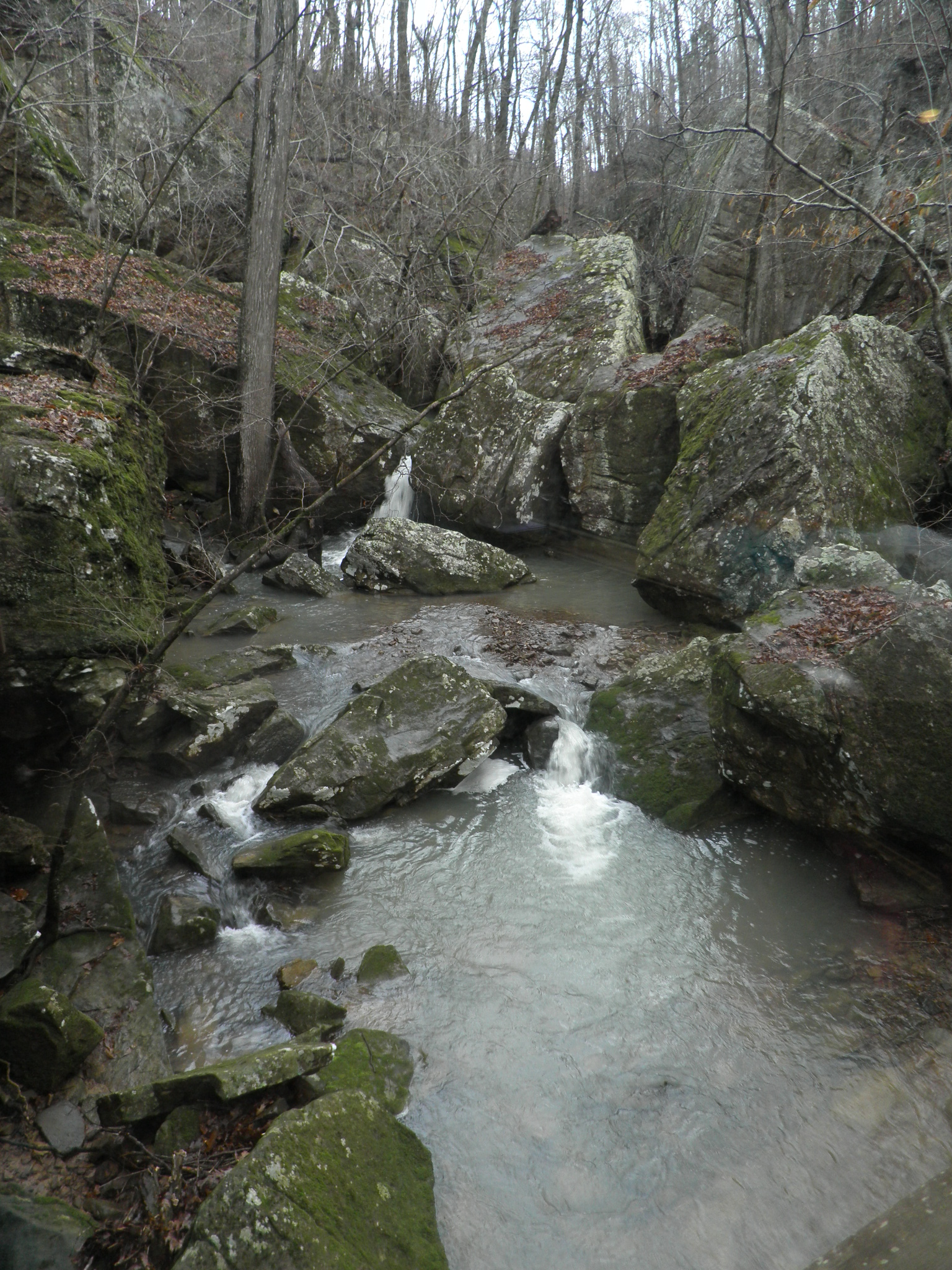 Our 29th Wedding Anniversary Longbow Resort, Prim, Arkansas