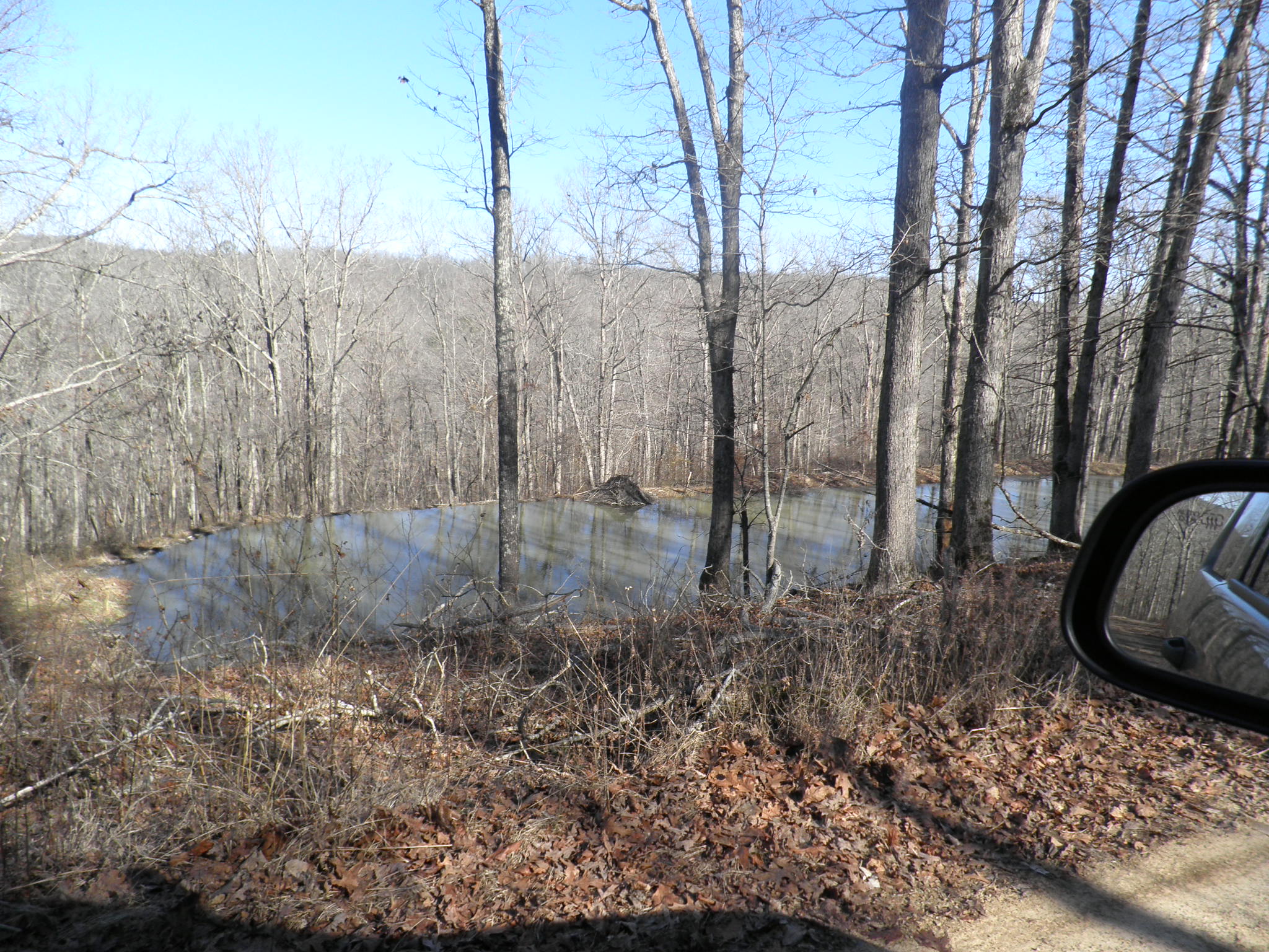 Our 29th Wedding Anniversary Longbow Resort, Prim, Arkansas