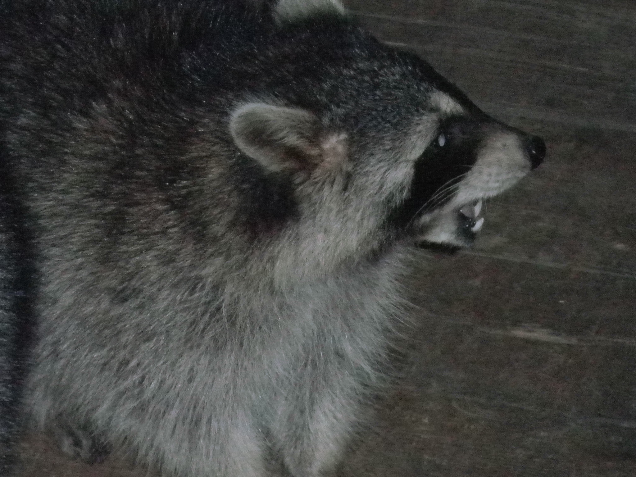 Our 29th Wedding Anniversary Longbow Resort, Prim, Arkansas