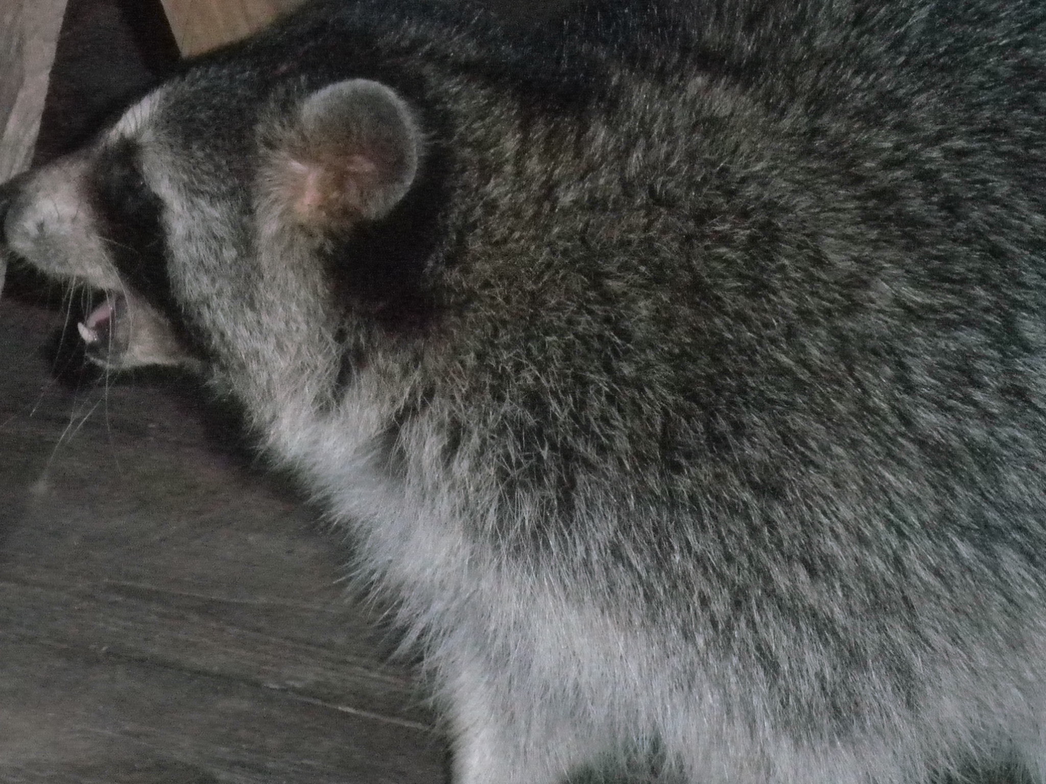 Our 29th Wedding Anniversary Longbow Resort, Prim, Arkansas